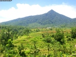 Sawah Bertingkat di Jatiluwih Bali